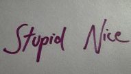 Stupid Nice